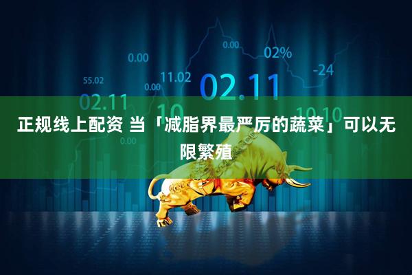 正规线上配资 当「减脂界最严厉的蔬菜」可以无限繁殖