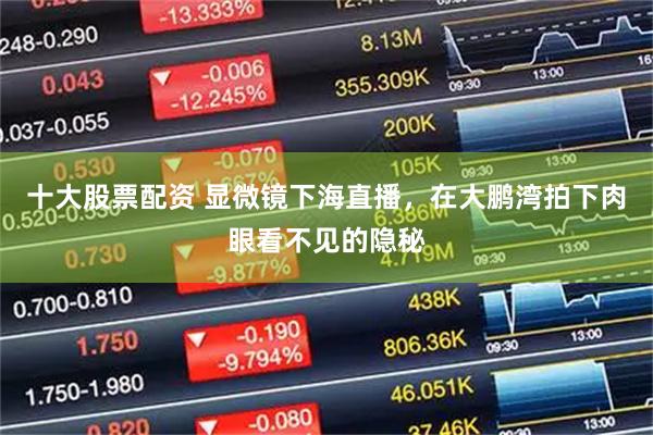 十大股票配资 显微镜下海直播，在大鹏湾拍下肉眼看不见的隐秘